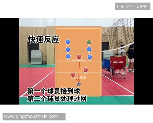 运动数据排球新手必看力量训练基础与技巧全面解析助你快速提升球技